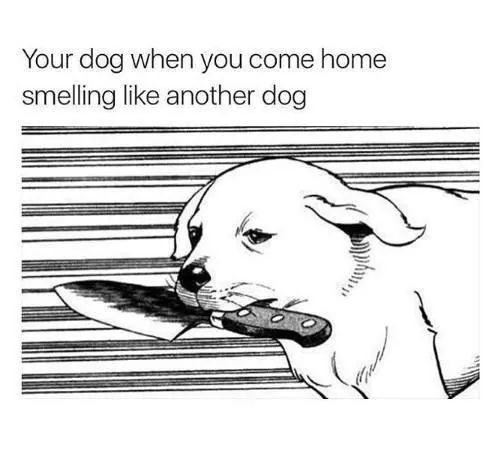 FB_IMG_1508707001176