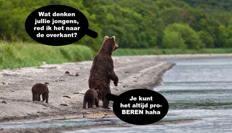 FB_IMG_1574429211333