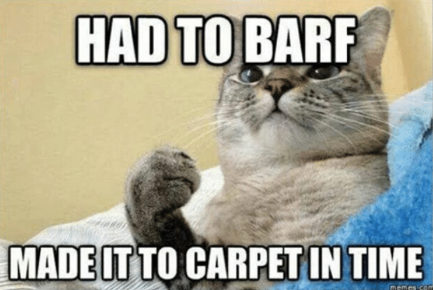 2019-03-26%2009_16_17-cat%20meme%20had%20to%20barf%20-%20Google%20zoeken