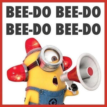 beedoo