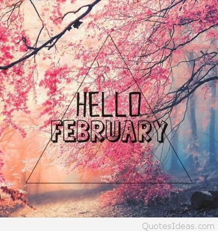 Wallpaper-Mobile-Hello-February-2016