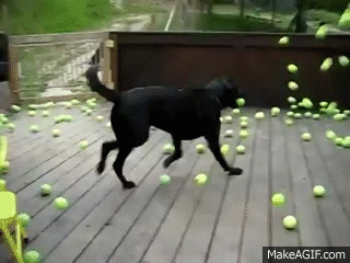 giphy