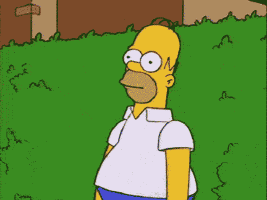 giphy (13)