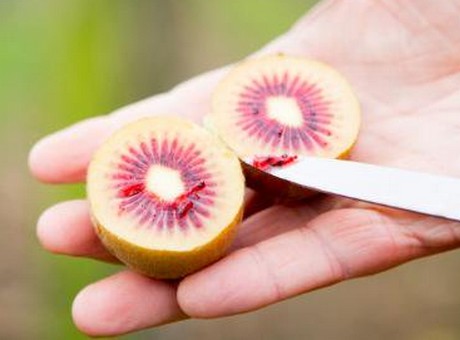 Zespri
