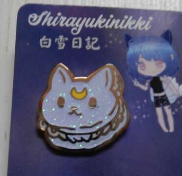 pin3.PNG