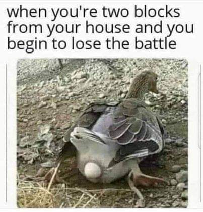 FB_IMG_1602096010348