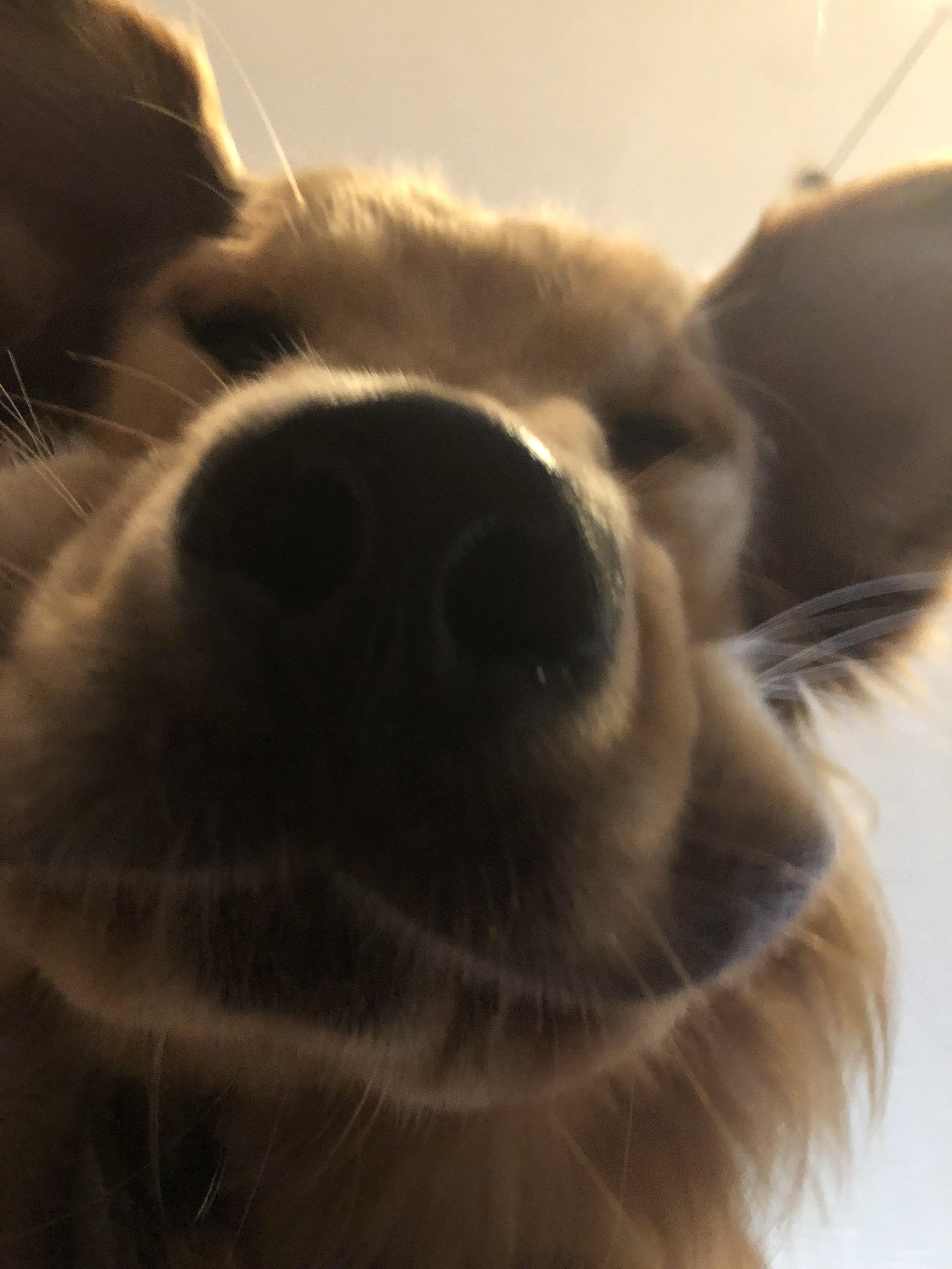 kqyv3t9r8jb11