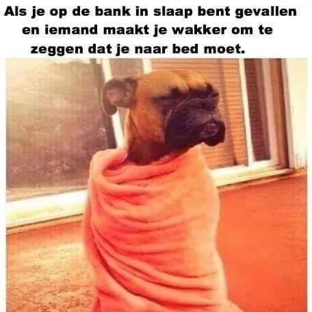 FB_IMG_1572348379811