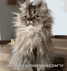 hangover-tired
