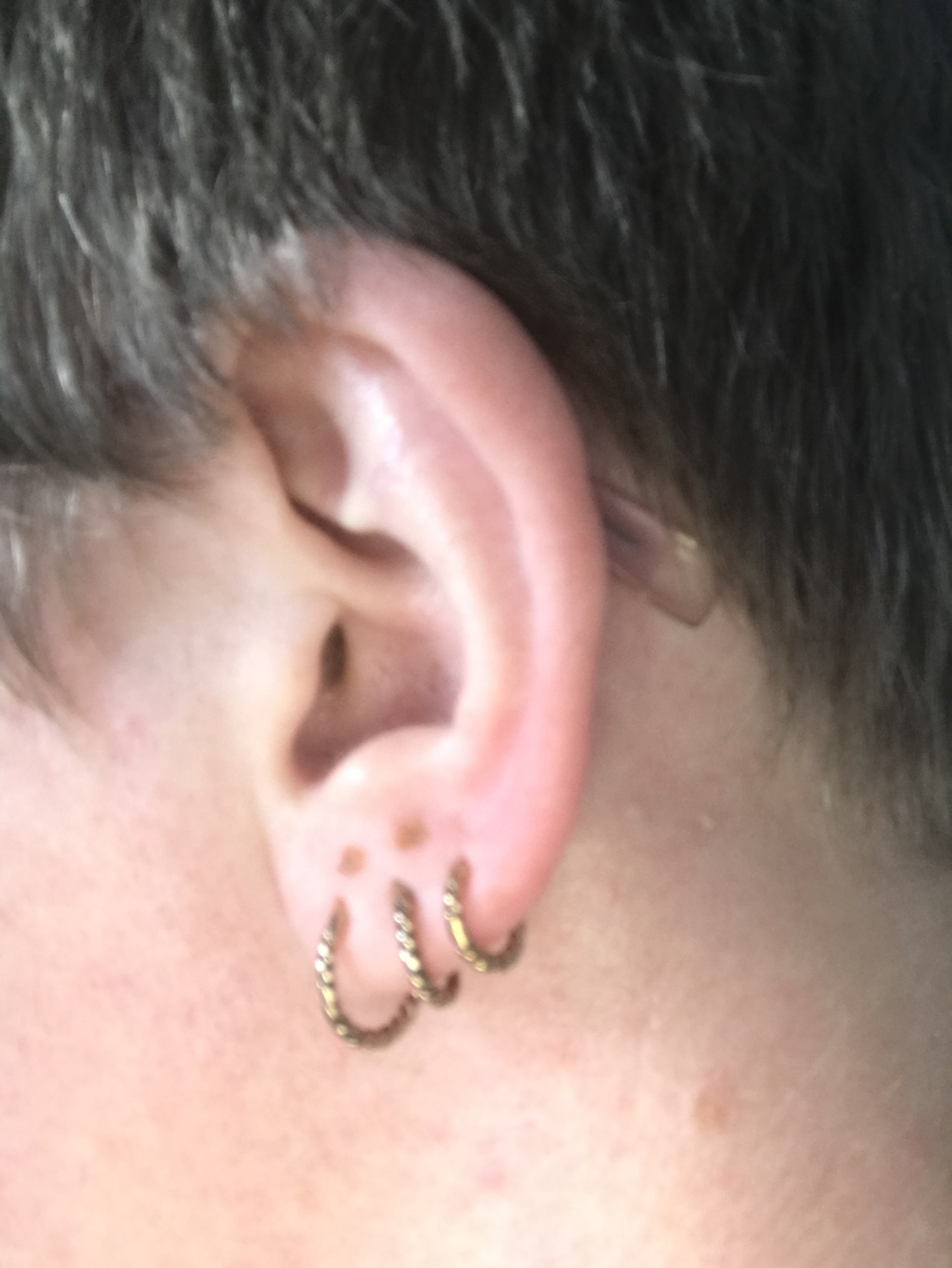 Piercingtopic Beauty Forum Feminarum