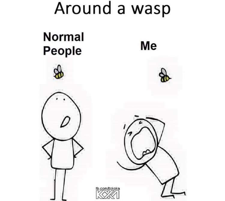FB_IMG_1566682848714
