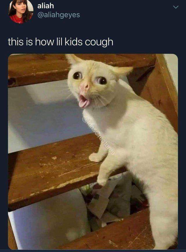FB_IMG_1544294078593