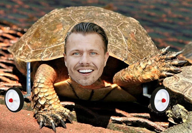 schildpad
