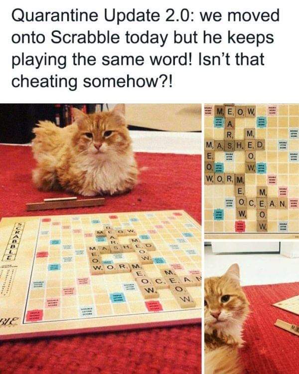 FB_IMG_1586796134784