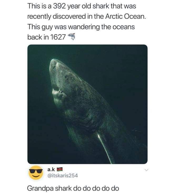 FB_IMG_1599762809373