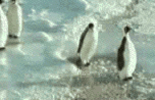 giphy%20(2)