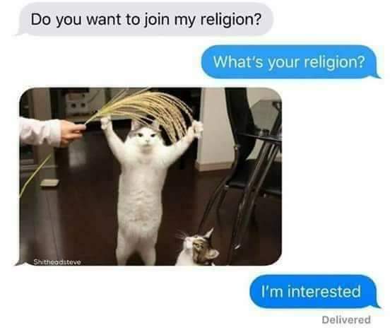 FB_IMG_1577988237600