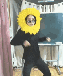 shabang-shabang-sunflower