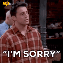 im-sorry-sorry