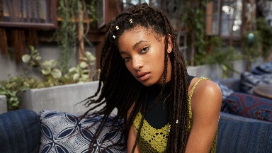 Willow-Smith-ho-subito-cyberstalking-per-diversi-anni
