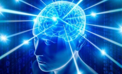 cropped-big-brain