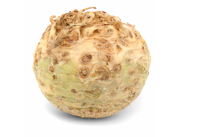 knolselderij-groente-veggipedia