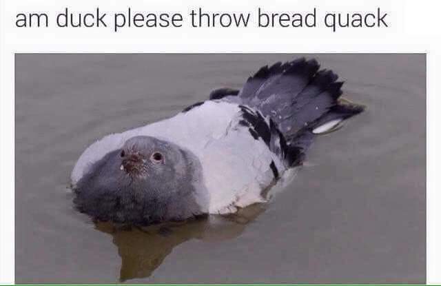 FB_IMG_1567600074170