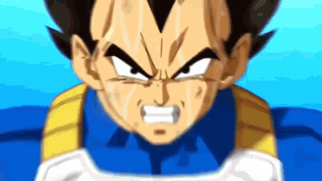 vegeta-training