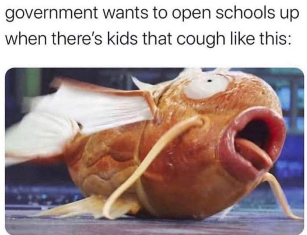 FB_IMG_1596868065877