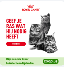Schermafbeelding 2025-06-28 135428