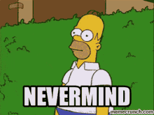 the-simpsons-nevermind