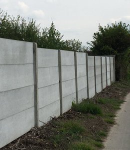 IMG_7280