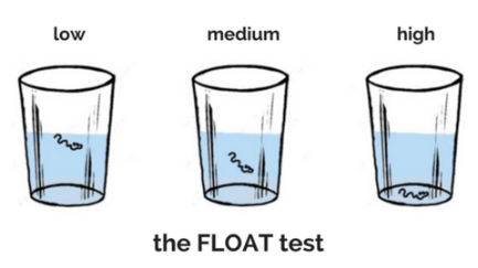hair-health-float-test