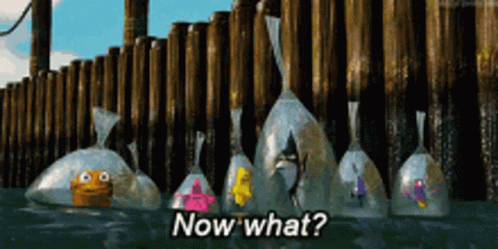 findingnemo-nowwhat