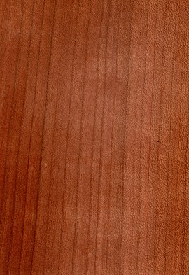 270px-Wood_prunus_avium